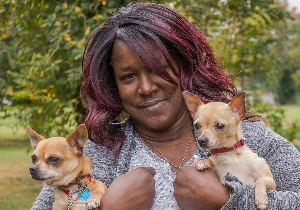 Animal Shelter Desperately Needs Temporary Foster Homes for Dogs Amid COVID-19 Concerns