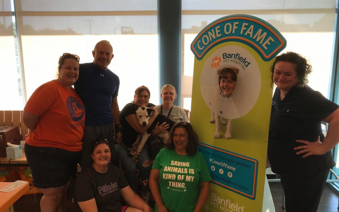 Local Veterinary Hospital Donates Thousands of Dollars in Free Veterinary Care to Save Adoptable Pets