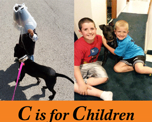 Adoptable Dog in St. Louis – Meet Clover!