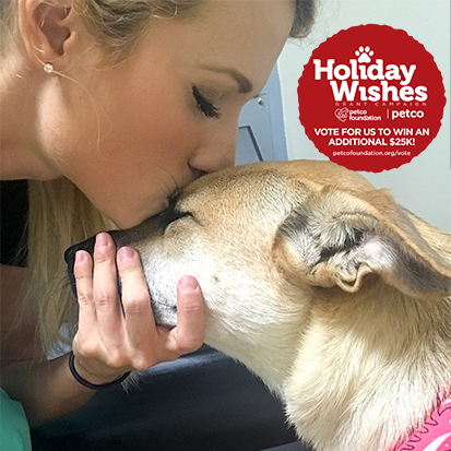 Vote for Eliza & Cora in the Petco Holiday Wishes People’s Choice Award