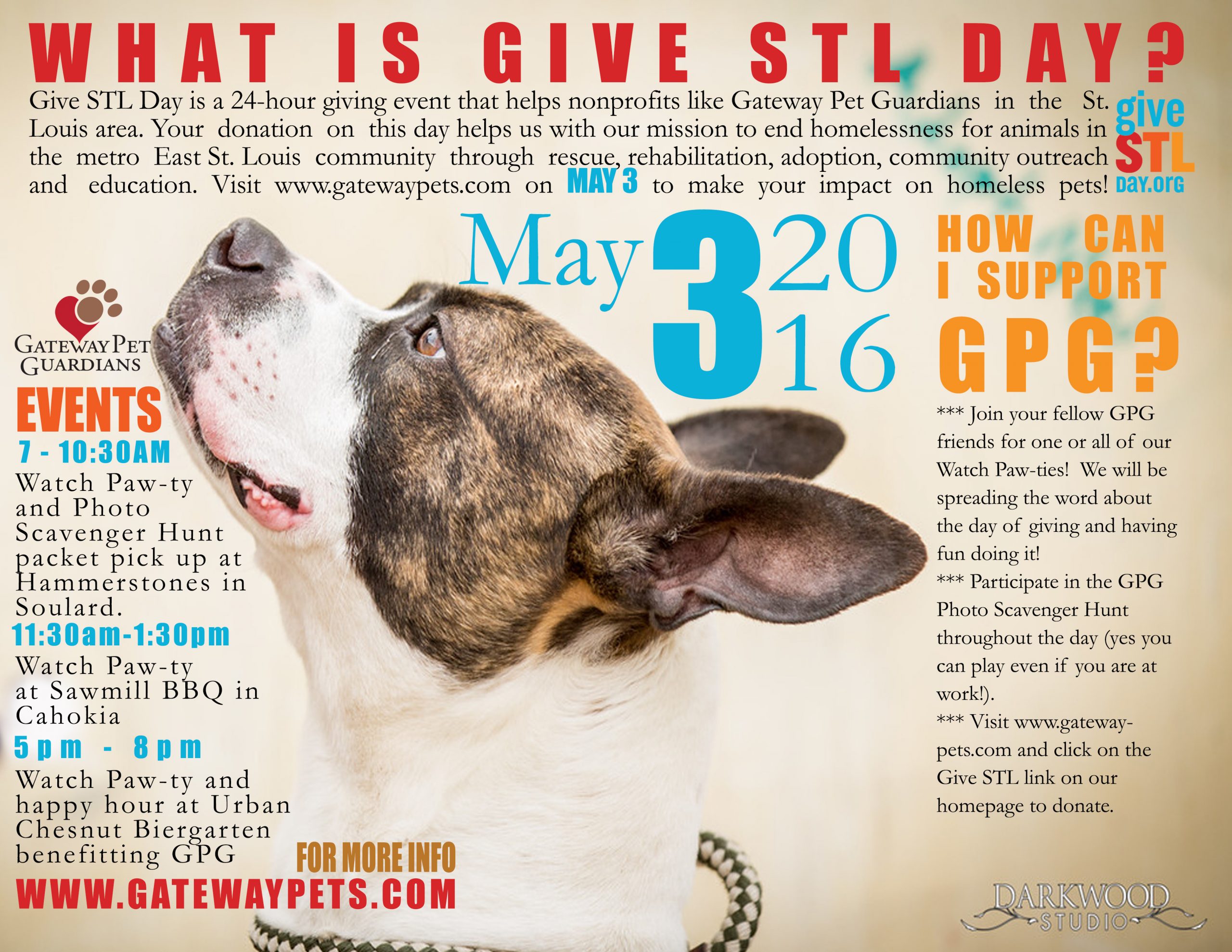 GIVE STL DAY 2016
