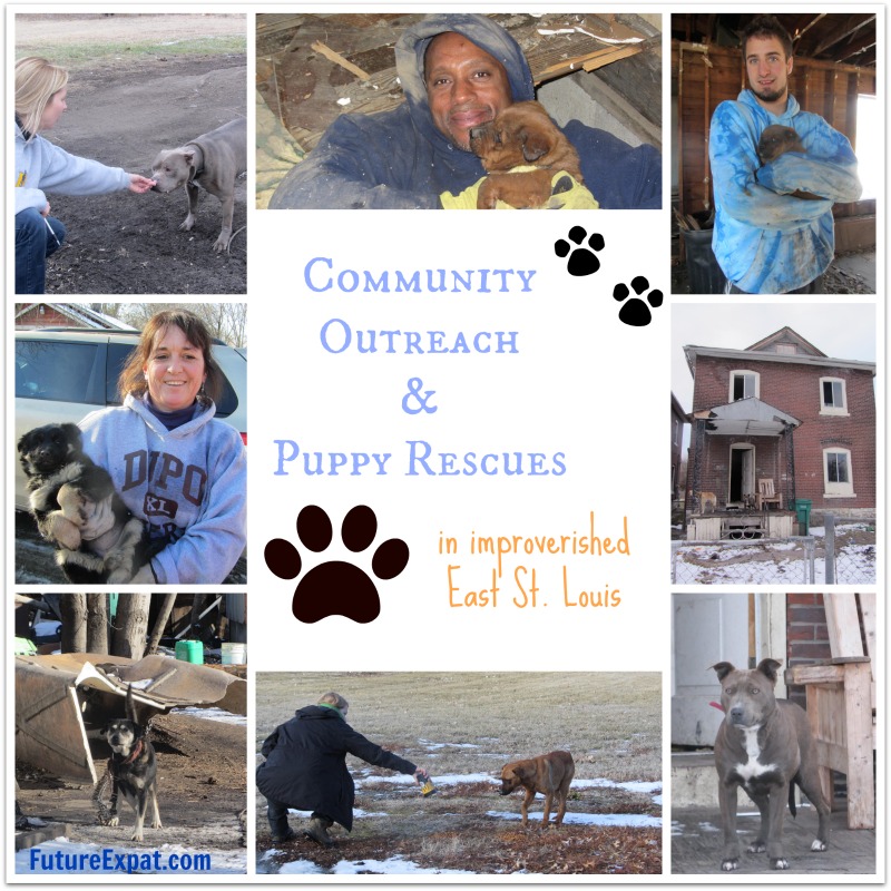 Puppy Rescue in East St. Louis and Community Outreach