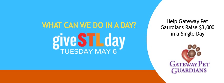 Help GPG Raise $3,000 Dollars for Give STL Day