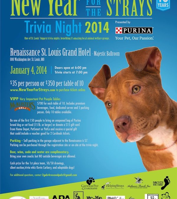 New Year for the Strays Trivia Night