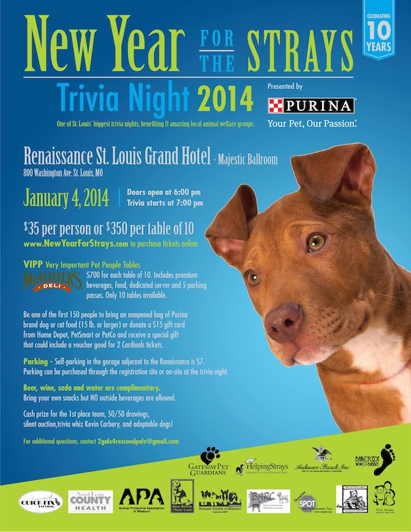 New-year-for-the-strays-trivia-night-st-louis