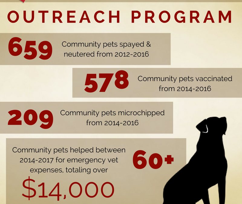 The Numbers Say It All: Our Community Outreach Program