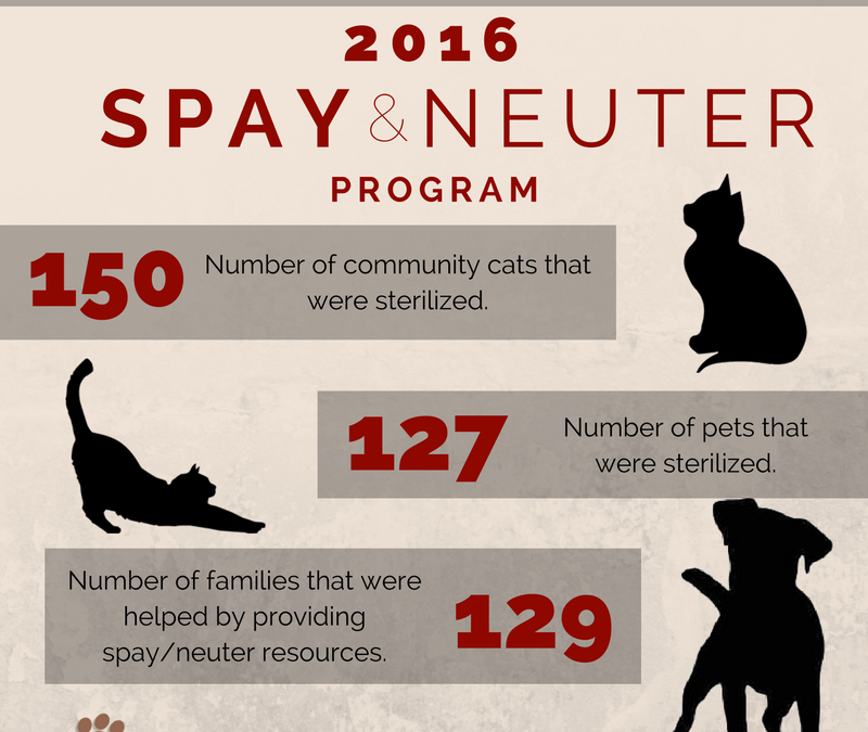 A Successful Year for the Spay/Neuter Program