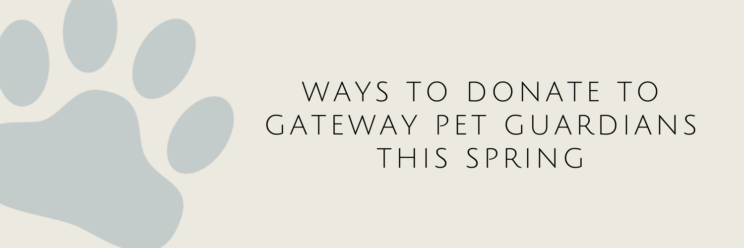Ways to Donate to Gateway Pet Guardians This Spring