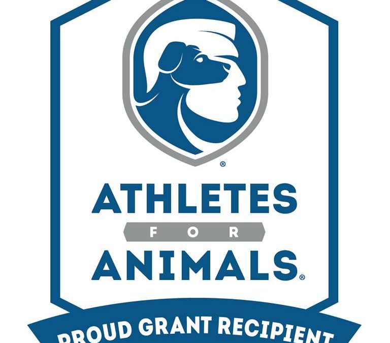 Athletes for Animals Grants $2,500 to Fund Spay/Neuter in Metro East