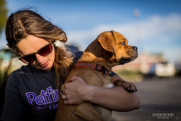 Adoptable Dog in St. Louis: Meet Bruno!