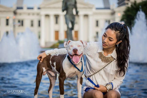 Adoptable Dog in St. Louis: Meet Gilbert!