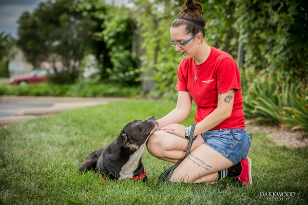 Adoptable Dog in St. Louis: Meet Mr. Happy!