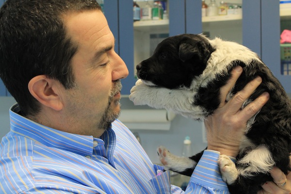 Dr. Ed Migneco of Hillside Animal Hospital checks out a newly rescued puppy.