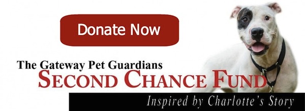 Donate to the Second Chance Fund to provide much needed veterinary care to emergency medical rescue animals.