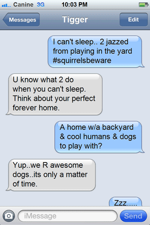 text-home