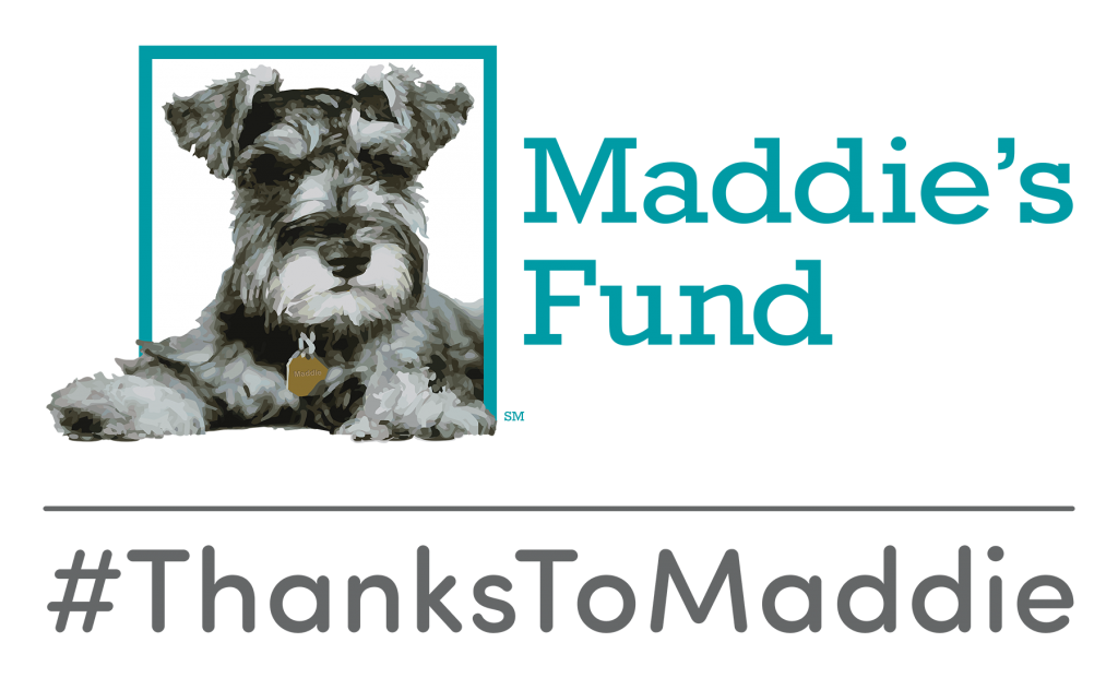 Maddie’s Fund Grants $5,000 to Fund Life-Saving Extreme Weather Action Plan