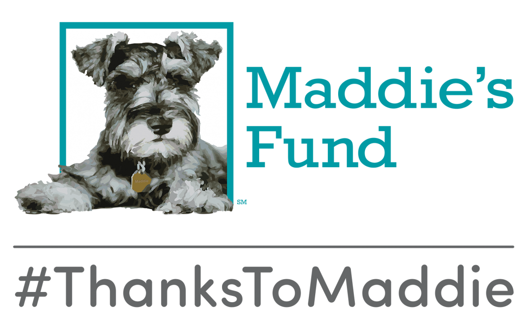 Maddie’s Fund Grants $3,000 to Fund Life-Saving Networking Efforts