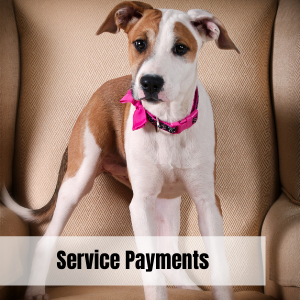 Service Payments