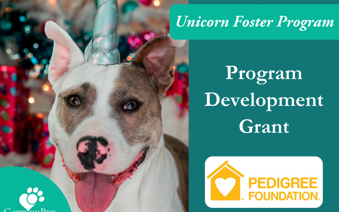 $10,000 Development Program Grant Awarded by PEDIGREE Foundation to Support Unicorn Foster Program