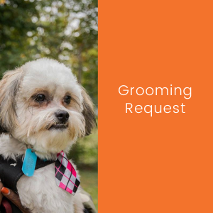 Grooming Request