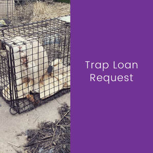 Trap Loan Request