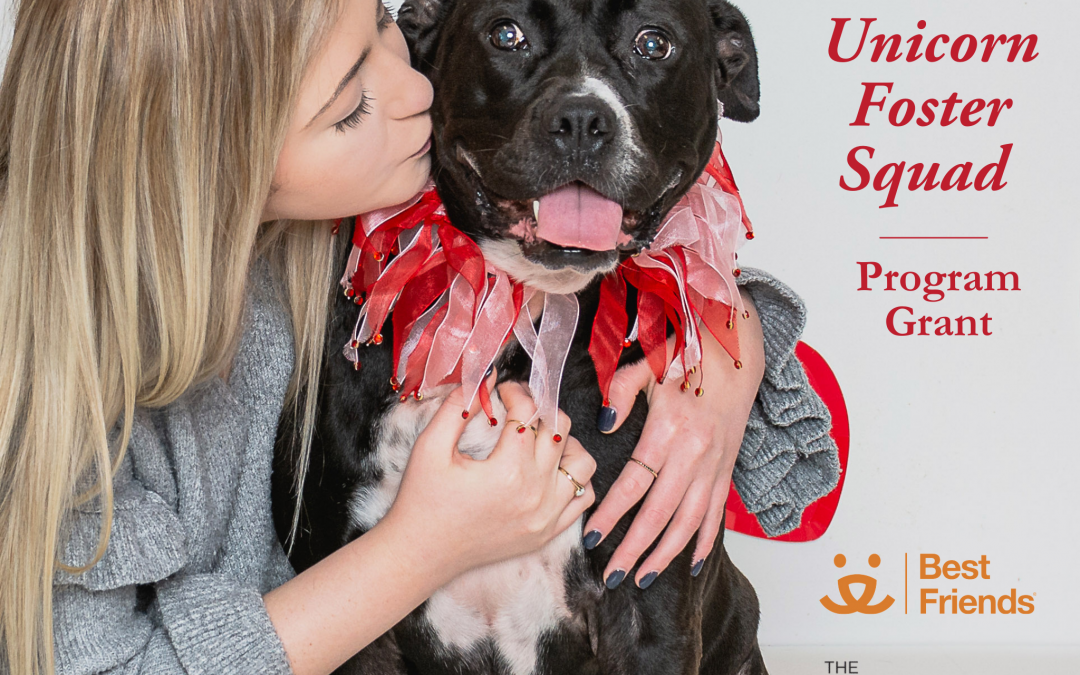 Partnership with Best Friends Animal Society and The Rachael Ray Foundation to Help “Save the Unicorns”