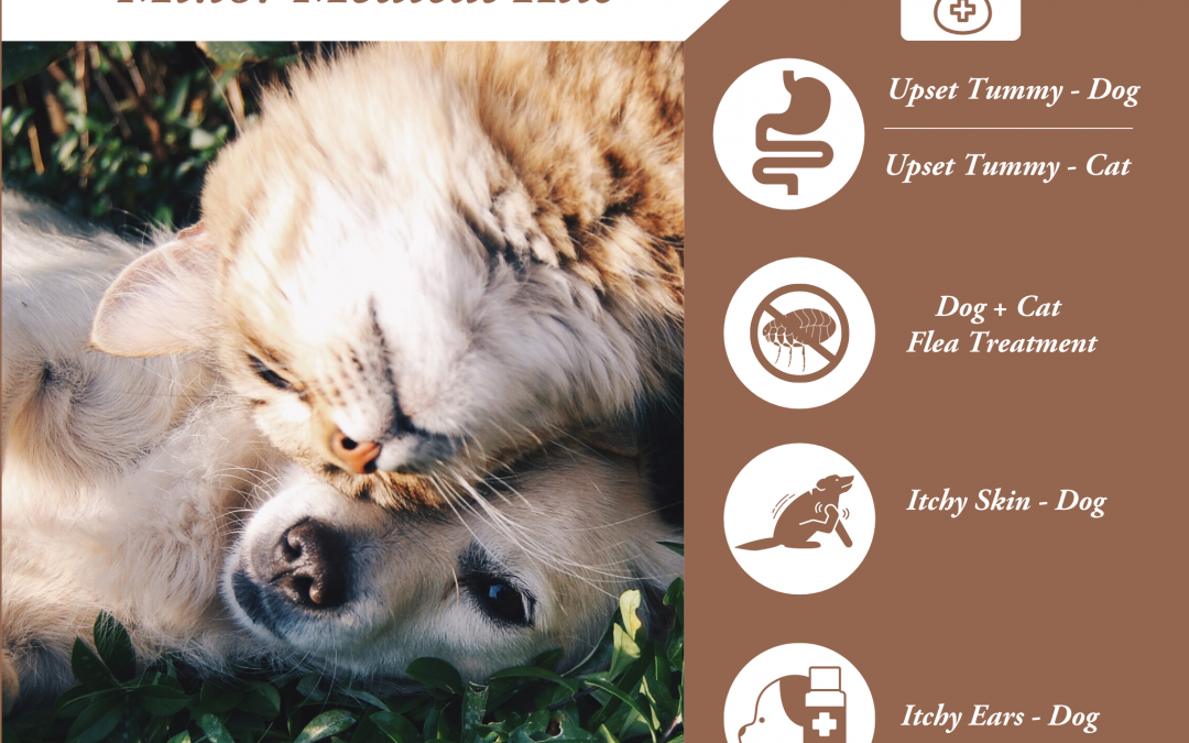 Affordable, Convenient Treatment Options for Minor Medical Pet Concerns Now Available