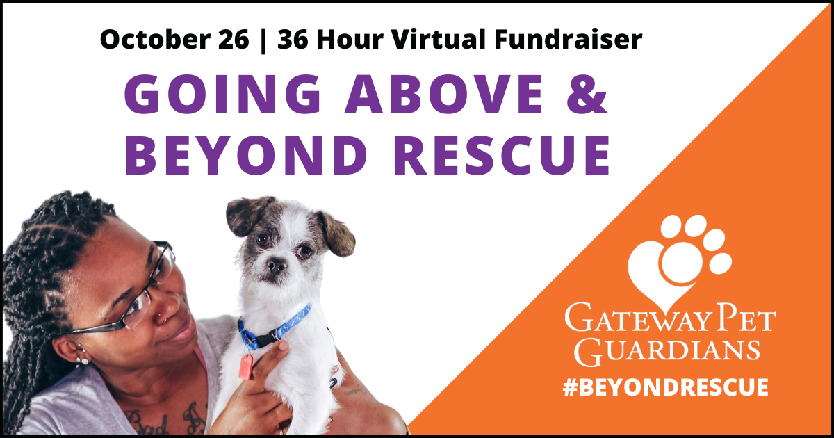 Beyond Rescue 36 Hour Virtual Fundraiser - Gateway Pet Guardians