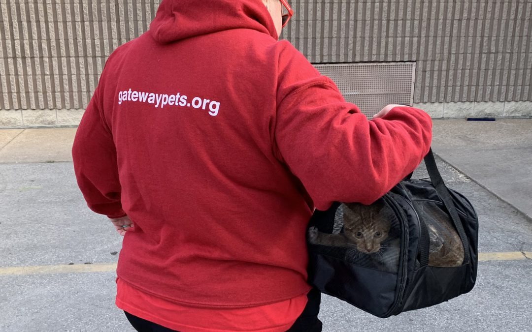 Drive-thru Vaccine Clinic