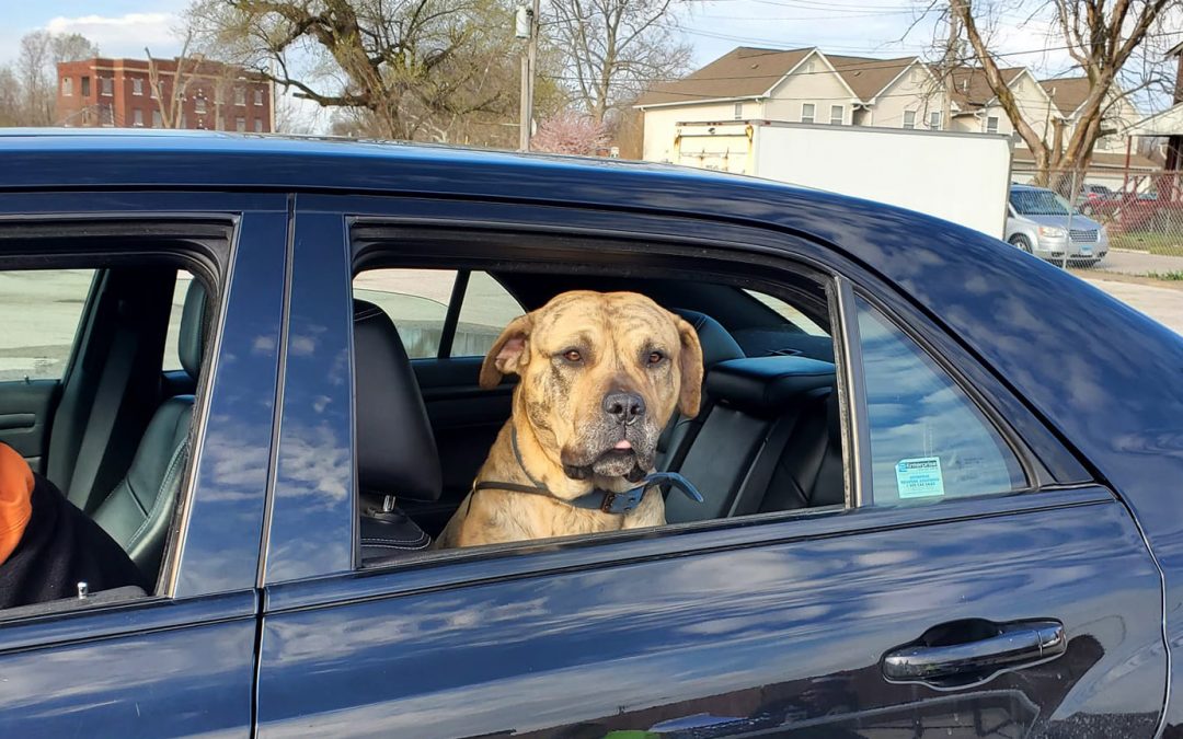Drive-thru Vaccine Clinic