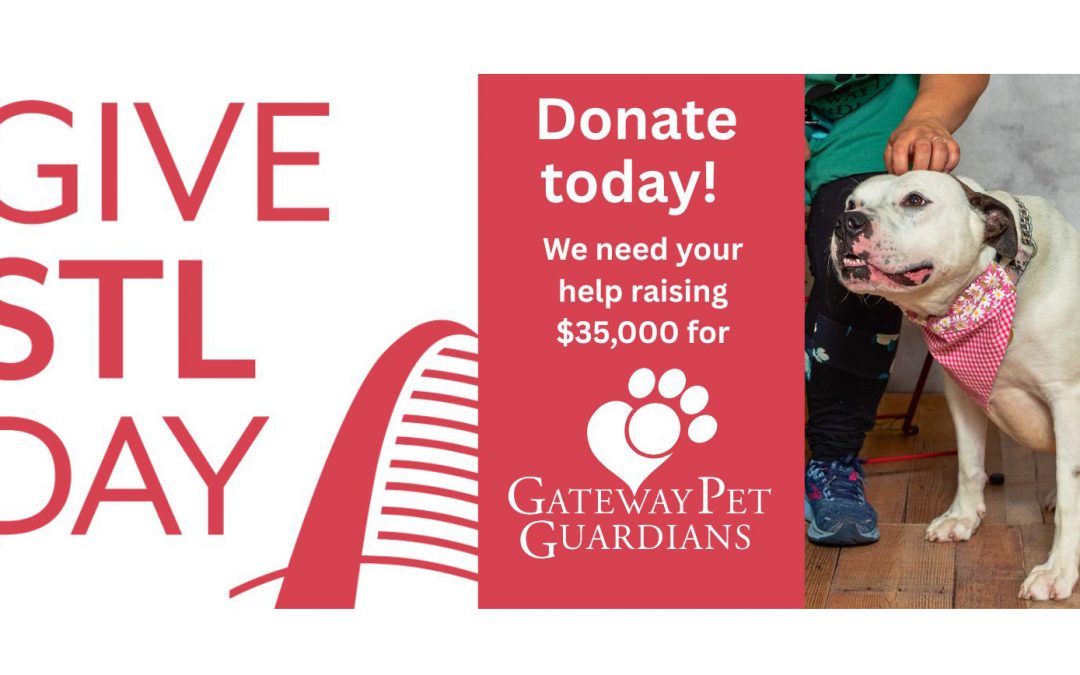 Give STL Day