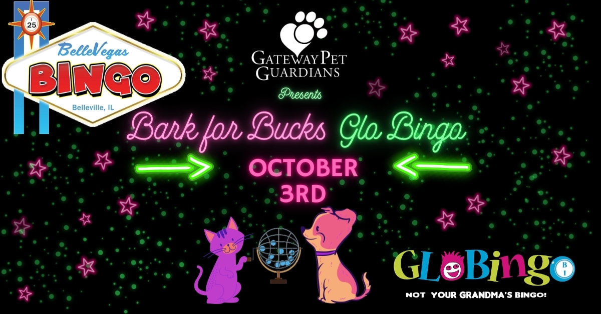 2026 Bark for Bucks Bingo Save the Date (Facebook Ad)